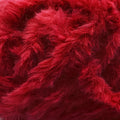 COCCOLA NEW