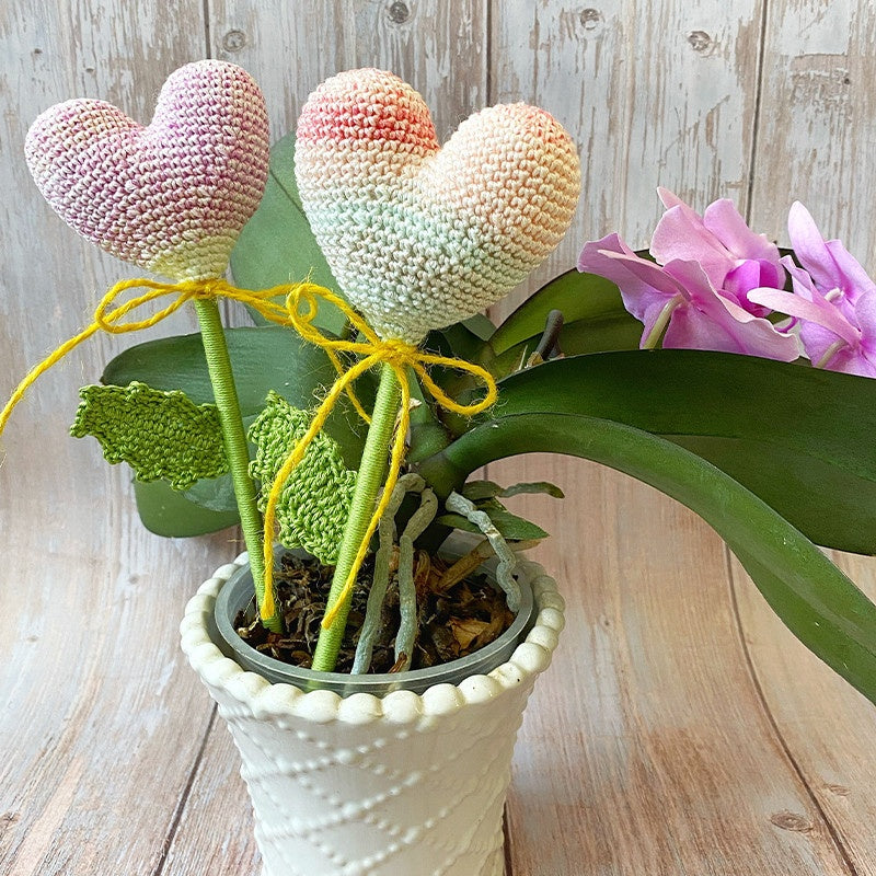 CUORI - BASIC LUX STAMPE